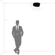 Lightstar Celesta 809356 Потолочный светильник Италия - фото 1 - фото 3