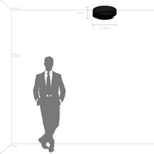 Lightstar Celesta 809416 Потолочный светильник Италия - фото 1 - фото 3