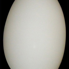 Lightstar Sferetta 801600 Бра 15x24 см, Италия - фото 1 - 2 Lightstar Sferetta 801600 Бра 15x24 см, Италия - фото 1 - фото 2