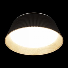 Loft it Evans 10224 Black Потолочный светильник Испания - фото 1 - фото 4