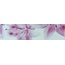 М- Квадрат Моноколор 270042 Лилия розовый Бордюр 6x25 см, Россия, под камень  - фото 1