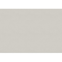 Marburg Bloom 36360 Под штукатурку Виниловые обои 1005x106 см, цвет: бежевый, Германия - фото 1 - фото 1