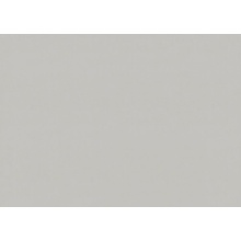 Marburg Bloom 36368 Под штукатурку Виниловые обои 1005x106 см, цвет: серый, Германия - фото 1 - фото 1