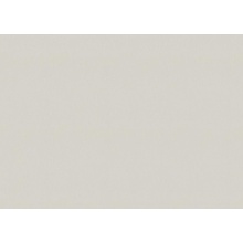 Marburg Bloom 36355 Под штукатурку Виниловые обои 1005x106 см, цвет: бежевый, Германия - фото 1 - фото 1