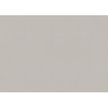 Marburg Bloom 36377 Под штукатурку Виниловые обои 1005x106 см, цвет: бежевый, Германия - фото 1 - фото 1