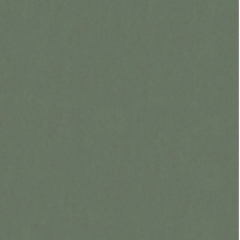 Marburg Craft 36614 Под штукатурку Флизелиновые обои 1005x70 см, цвет: зеленый, Германия - фото 1 - фото 1