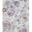 Marburg Melange 36134 Цветы Виниловые обои 1005x106 см, цвет: фиолетовый, Германия - фото 1