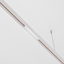 Maytoni Accessories For Exility TRA034PC-42W Комплектующее для светильников Германия - фото 1 - фото 4