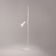 Maytoni Bansky MOD129FL-01W Торшер Германия - фото 1 - фото 4