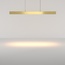 Maytoni Ephoria P109PL-36W2.7-6K-BS Потолочный светильник 116x1,5x17,5 см, Германия - фото 3