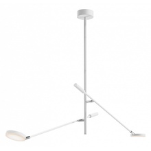 Maytoni Fad MOD070CL-L15W3K1 Потолочный светильник 122,5x23x100,3 см, Германия - фото 1 - фото 1