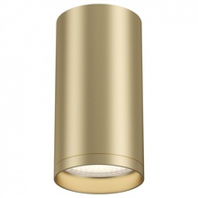 Maytoni Focus S C052CL-01MG Светильник Германия - фото 1 - фото 1