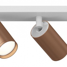 Maytoni Focus S C051CL-2WC Спот 34,4x6 см, Германия - фото 1 - фото 2