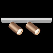 Maytoni Focus S C051CL-2WC Спот 34,4x6 см, Германия - фото 1 - фото 4