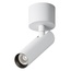 Maytoni Focus T C141CL-L125-6W4K-W Точечный светильник Германия - фото 3