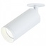 Maytoni Focus C018CL-01W Точечный светильник Германия - фото 1