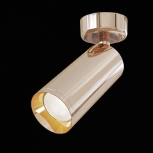 Maytoni Focus C017CW-01RG Точечный светильник Германия - фото 1 - фото 2