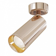 Maytoni Focus C017CW-01RG Точечный светильник Германия - фото 1 Maytoni Focus C017CW-01RG Точечный светильник Германия - фото 1 - фото 1