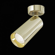 Maytoni Focus C017CW-01G Точечный светильник Германия - фото 1 - фото 2