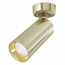 Maytoni Focus C017CW-01G Точечный светильник Германия - фото 1 Maytoni Focus C017CW-01G Точечный светильник Германия - фото 1 - фото 1