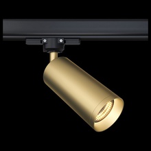Maytoni Focus TR028-3-GU10-MG Светильник Германия - фото 1 - фото 2