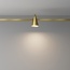 Maytoni Keila TR146-1-5W3K-BS Точечный светильник Германия - фото 2