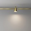 Maytoni Keila TR146-1-5W4K-BS Точечный светильник Германия - фото 2