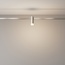 Maytoni Skim TR145-1-3W3K-W-PT Точечный светильник Германия - фото 2