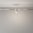 Maytoni Skim TR145-1-3W4K-W-PT Точечный светильник Германия - фото 2