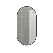 Mixline Мираж 559329 Чёрный 50 Зеркало 2,8x50x100 см, Россия - фото 1 - фото 1