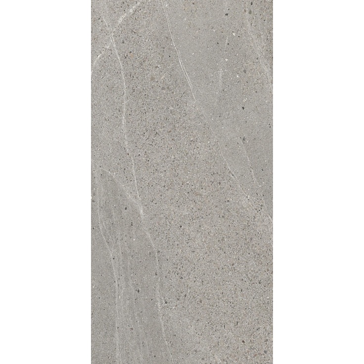 Modern Tile Vintage Grey Matt Керамогранит 60x120 см, Индия, под камень  - фото 1