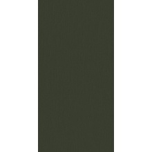Motto Monotone N100154 Olive D1 Керамогранит 60x120 см, Индия, ничего - фото 1 - фото 1