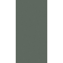 Motto Monotone N100157 Juniper D1 Керамогранит 60x120 см, Индия, ничего - фото 1 - фото 1