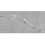 Museum Sublime 38449 Thunder Ep Керамогранит 60x120 см, Испания, под камень - фото 1 Museum Sublime 38449 Thunder Ep Керамогранит 60x120 см, Испания, под камень - фото 1