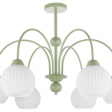 MyFar Flora MR2271-6С Люстра Россия - фото 1 - фото 3