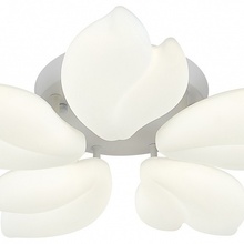 Natali Kovaltseva Effect LED LAMPS 81116 Люстра потолочная Германия - фото 1 - фото 2