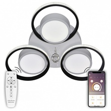 Natali Kovaltseva HIGH-TECH LED LAMPS 42798 Светильник Германия - фото 1 - фото 1