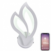 Natali Kovaltseva Led Lamps LED LAMPS 81108/1W Бра 29x16,5 см, Германия - фото 1 - фото 4