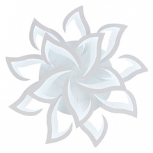 Natali Kovaltseva Olimp LED LAMPS 81335 Люстра потолочная Германия - фото 1 - фото 3