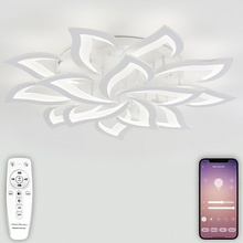 Natali Kovaltseva Olimp LED LAMPS 81335 Люстра потолочная Германия - фото 1 - фото 4