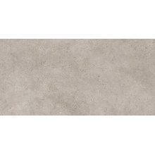 Neodom Loft N40074 Avenue Grey Dg Carving Керамогранит 60x120 см, Индия, под камень  - фото 1 - фото 1