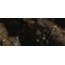 Neodom Titanium Onyx Night Polished Керамогранит 120x278 см, Индия, под оникс - фото 1