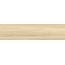 New Trend Thai Wood GP1560THW11 Beige матовый Керамогранит 15,1x60,2 см, Россия, под дерево - фото 10