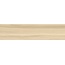 New Trend Thai Wood GP1560THW11 Beige матовый Керамогранит 15,1x60,2 см, Россия, под дерево - фото 2
