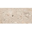 Ocean Ceramic India Fossil Oken Керамогранит 60x120 см, Индия, терраццо - фото 1
