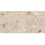 Ocean Ceramic India Fossil Oken Керамогранит 60x120 см, Индия, терраццо - фото 5