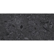 Ocean Ceramic India Fossil Svart Керамогранит 60x120 см, Индия, терраццо - фото 1 - фото 1