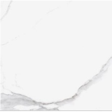 Pamesa At Portofino Brillo Керамогранит 60x60 см, для ванной, стиль: современный, цвет: белый, Испания, под мрамор - фото 1 - фото 1