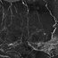 Primavera Dalim NR105 Black Керамогранит 60x60 см, Россия, под мрамор - фото 4 Primavera Dalim NR105 Black Керамогранит 60x60 см, Россия, под мрамор - фото 4
