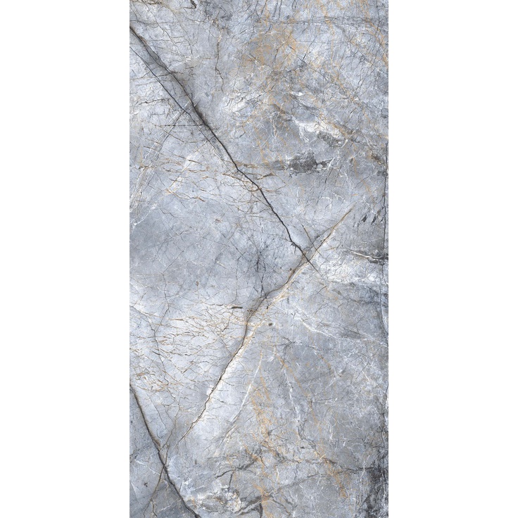 FUJI 20 NAOMI 56型BRUSHEEAL(SILVER) Fujifilm X100VI Silver